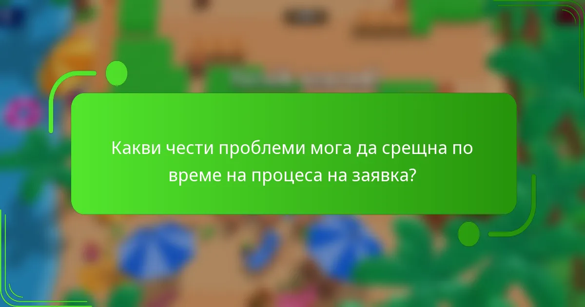 Какви чести проблеми мога да срещна по време на процеса на заявка?